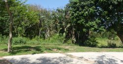 Vacant Land in Elaleni Coastal Estate