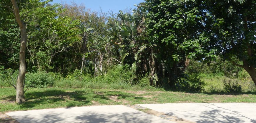 Vacant Land in Elaleni Coastal Estate