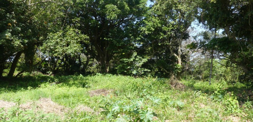 Vacant Land in Elaleni Coastal Estate