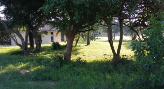 Muirfield Drive Mzingazi Golf Estate