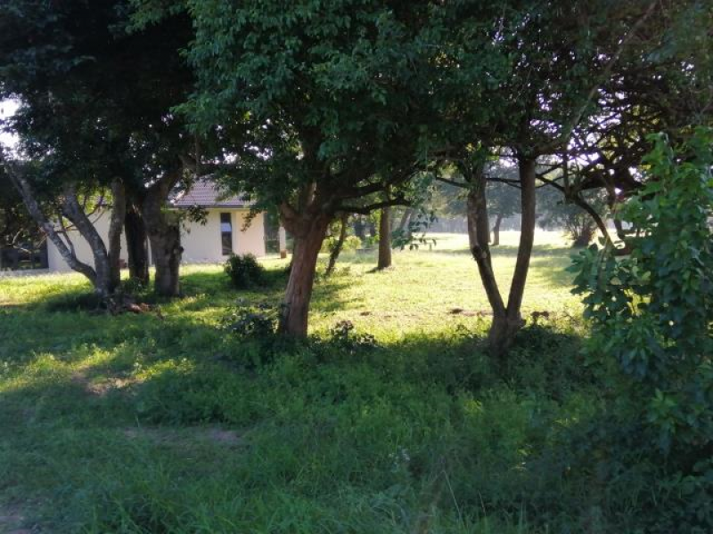 Muirfield Drive Mzingazi Golf Estate